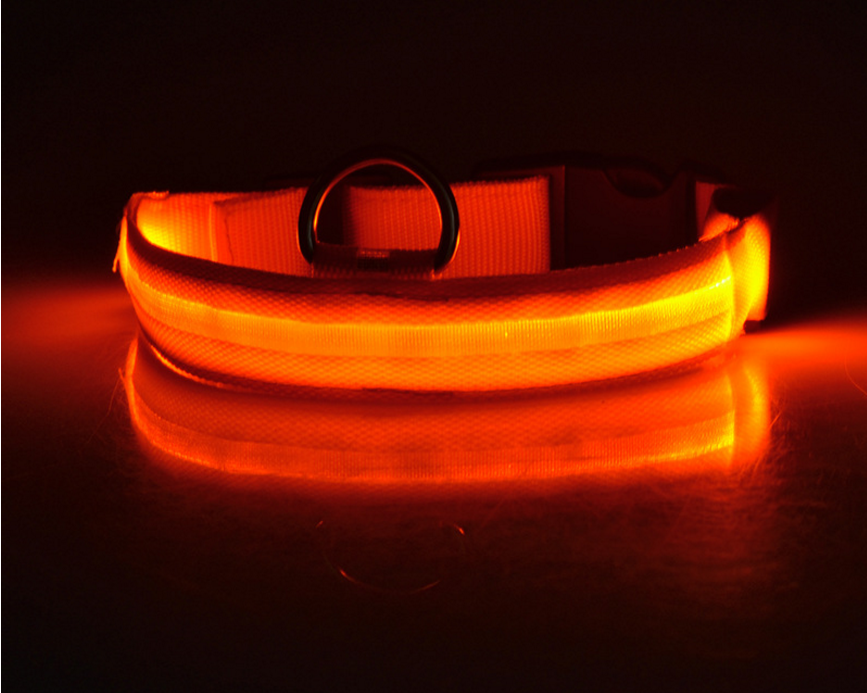 Leuchtendes LED-Hundehalsband, rosa – Bild 3