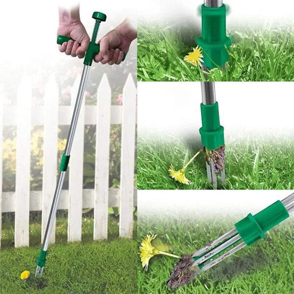 Arrache-herbe démontable sans pédale, vert