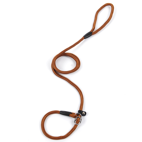 Laisse pour chien en nylon avec collier, rouge – Image 2