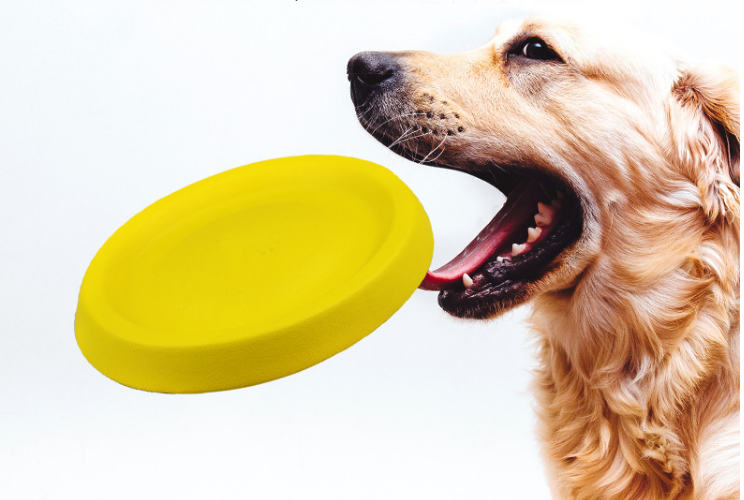 Werpspeeltje voor honden van schuim, geel - Afbeelding 3