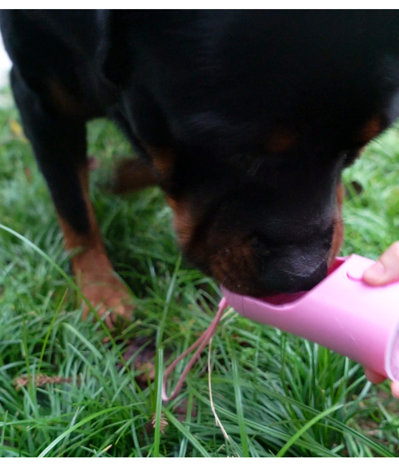Botella de agua para perros de paseo, rosa - Imagen 2