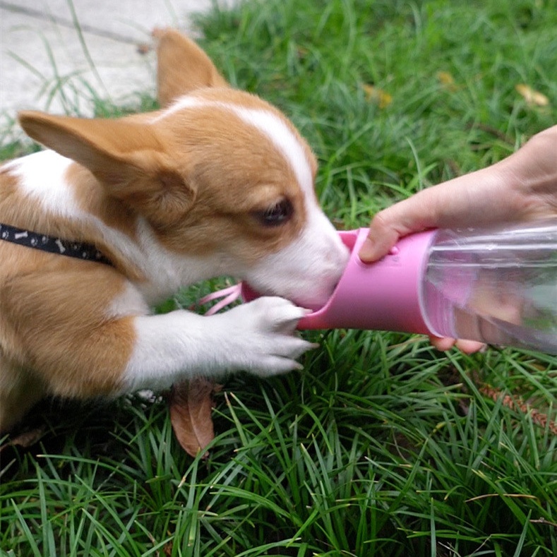 Botella de agua para perros de paseo, rosa - Imagen 5