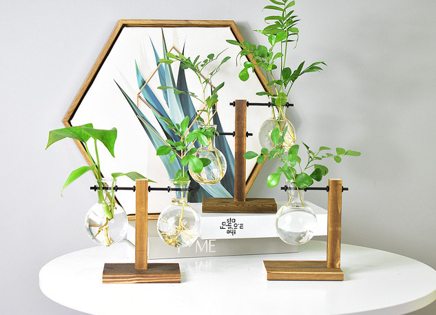Support en bois avec petit vase en verre pour boutures – Image 4