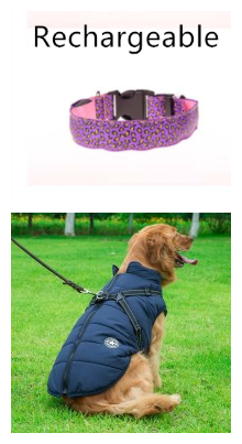 Collar LED estampado leopardo, color aleatorio - Imagen 5