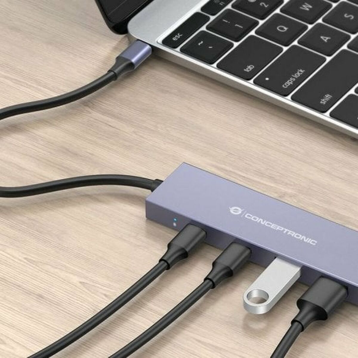 Hub USB Conceptronic HUBBIES13G Gris (1 Unité) – Image 5