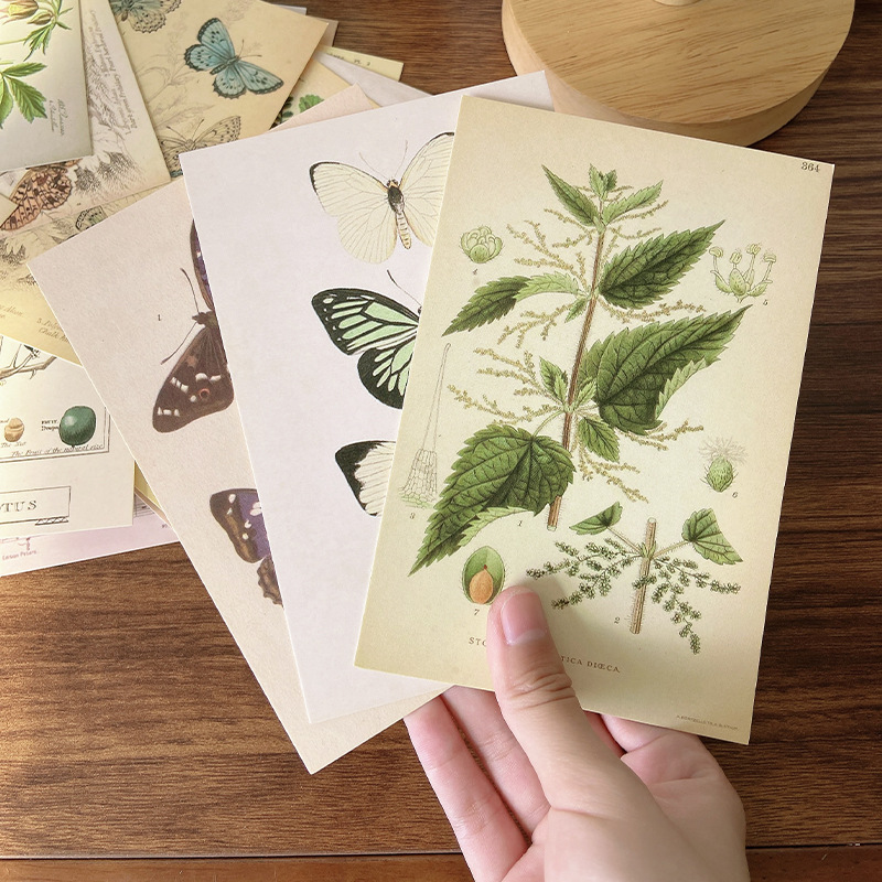 Cartes décoratives plantes de forêt, 30 pièces – Image 3