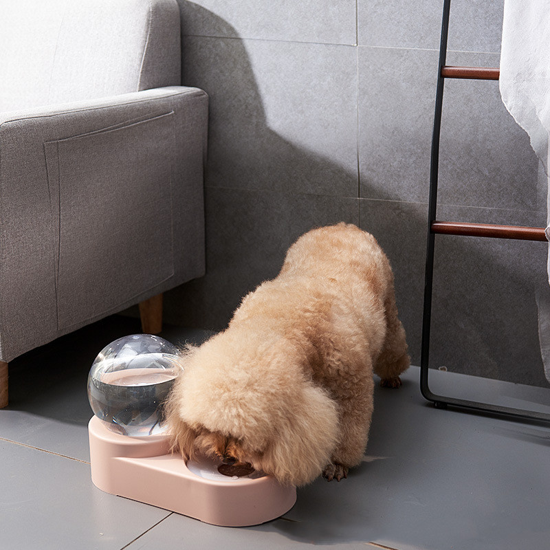 Dispensador de agua para gatos y perros con cuenco de acero - Imagen 4