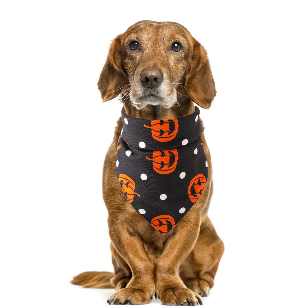 Halloween Pet Bandana, Pumpkin Polka Print
