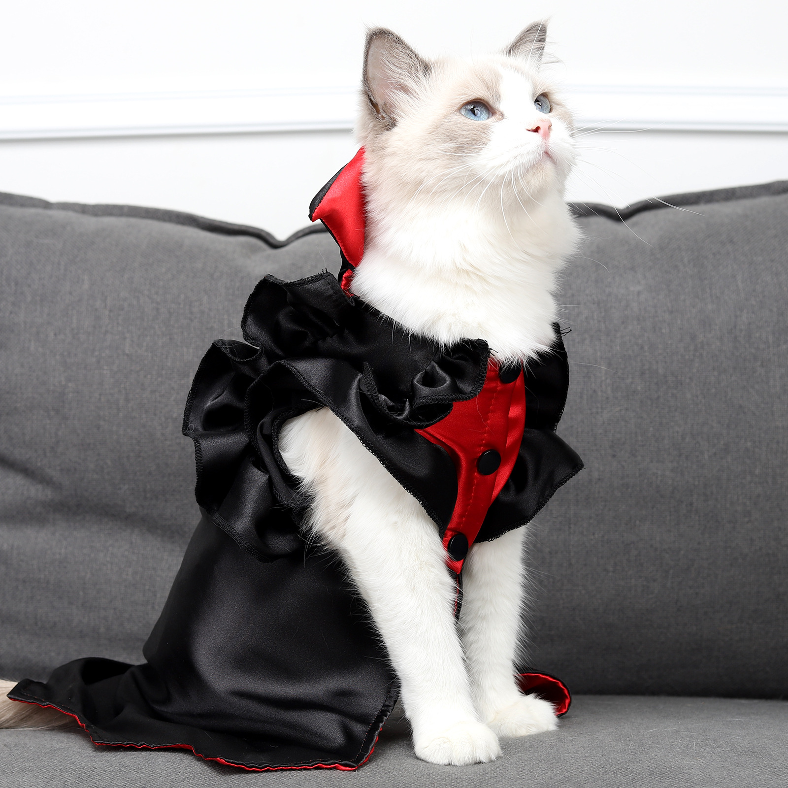 Traje de vampiro negro y rojo con cuello alto para gato - Imagen 3