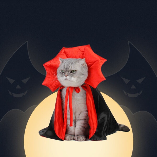 Black vampire cape for pets, one size