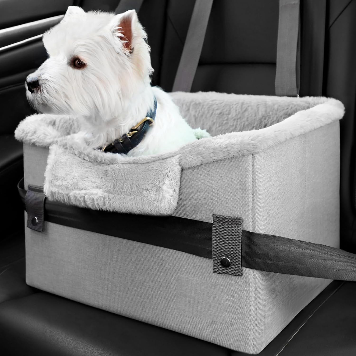 Car seat for small dogs with safety leash, orange - Image 3