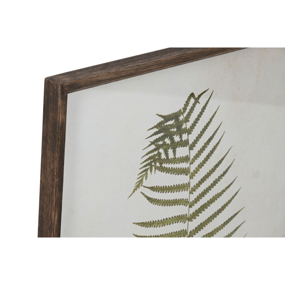Painting Home ESPRIT Crystal Fir - Image 2