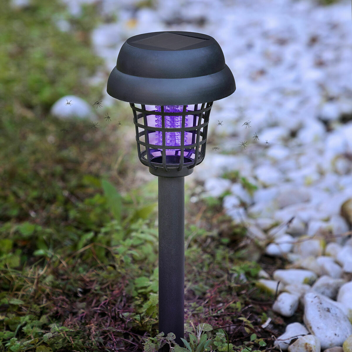Muggendodende tuinlamp die werkt op zonne-energie InnovaGoods 4 Stuks - Afbeelding 3