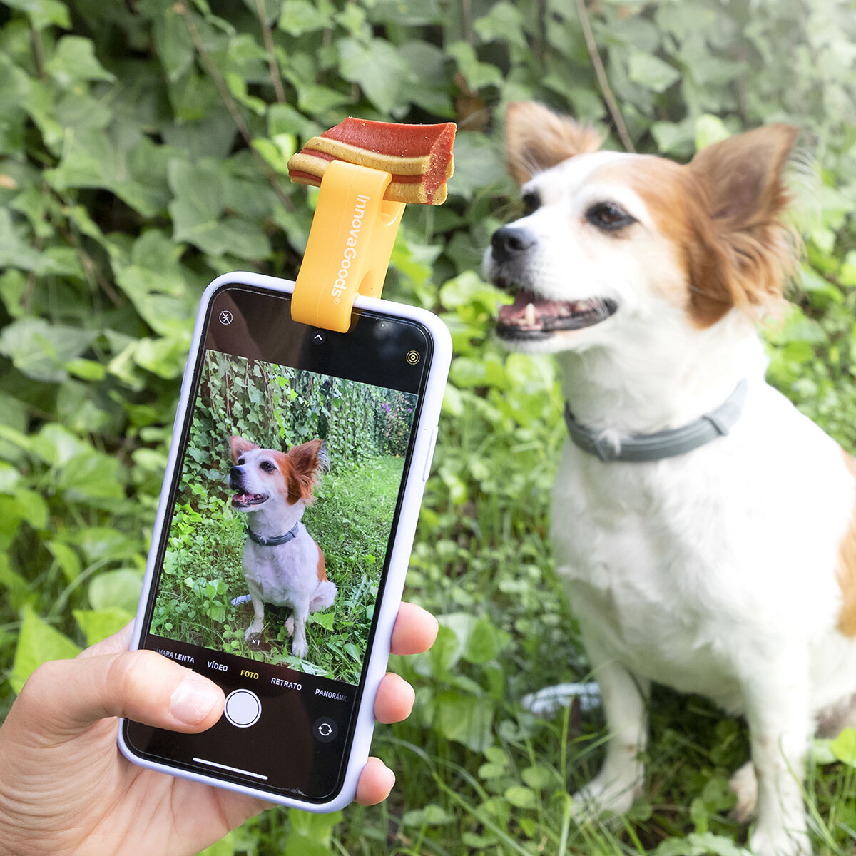 Pack Selfie Clip for Pets and Hanging Cat Hammock InnovaGoods - Image 2
