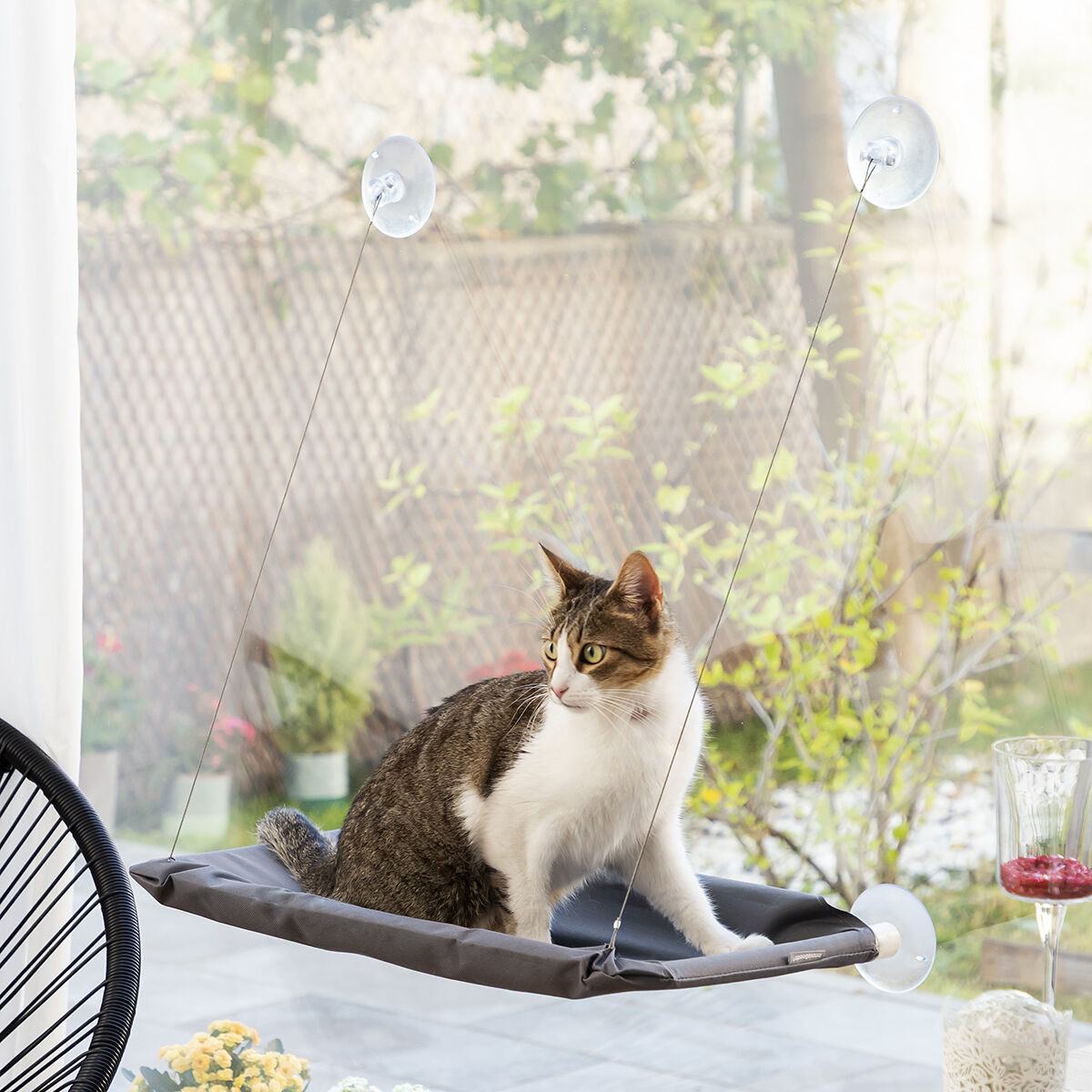 Pack Selfie Clip for Pets and Hanging Cat Hammock InnovaGoods - Image 5