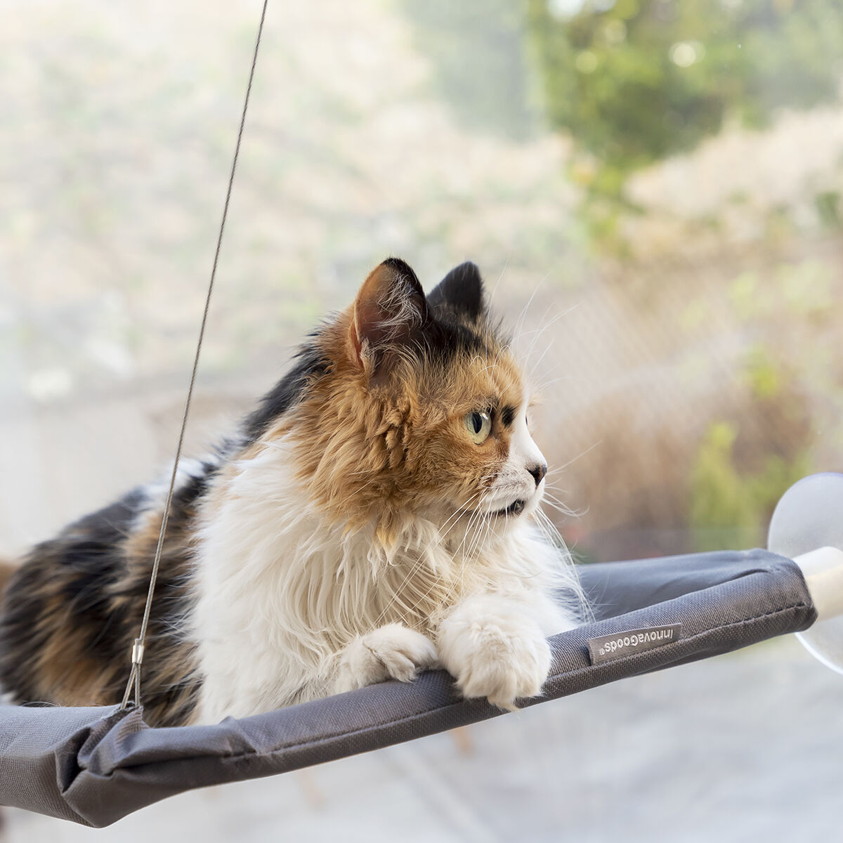 Pack Selfie Clip for Pets and Hanging Cat Hammock InnovaGoods - Image 7