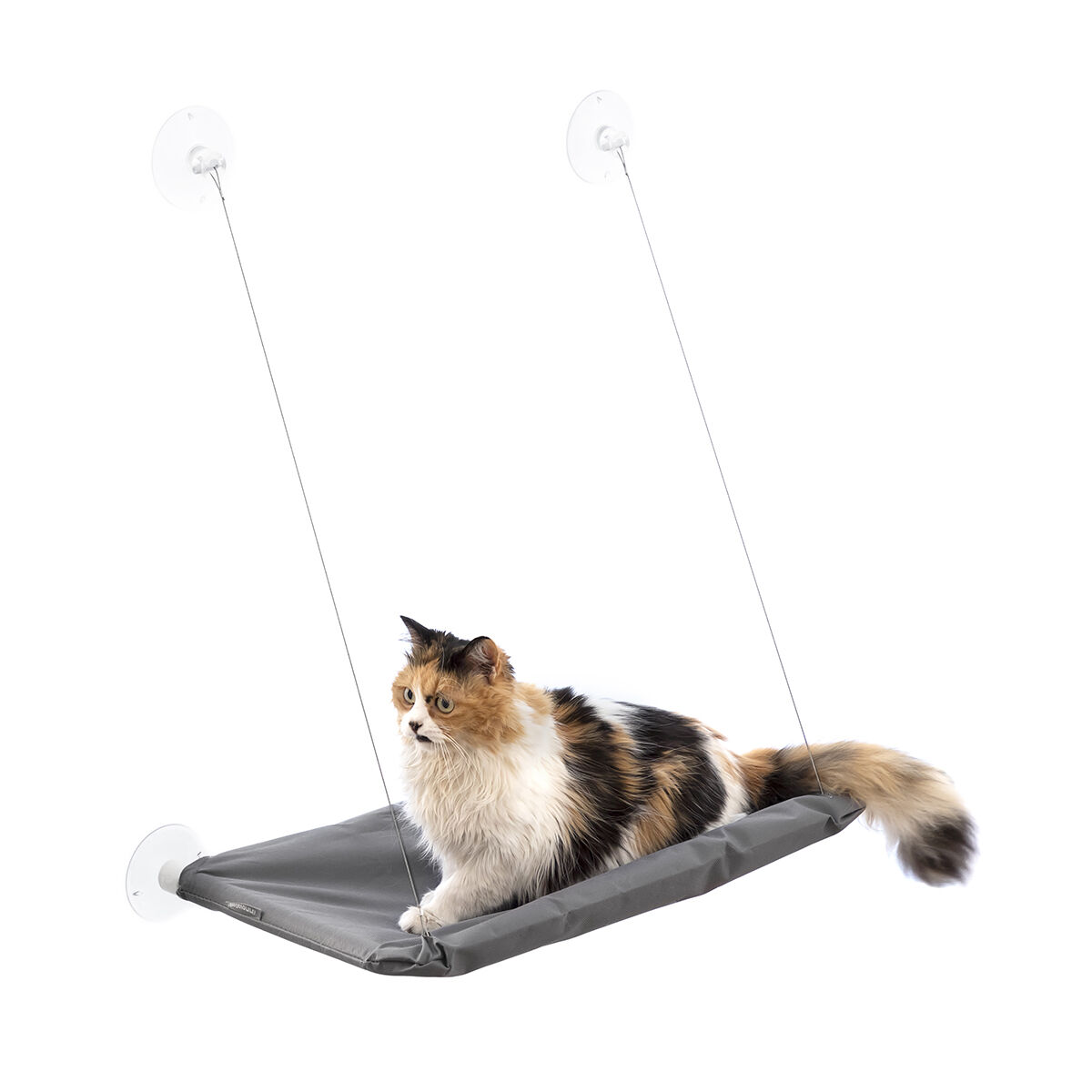 Pack Selfie Clip for Pets and Hanging Cat Hammock InnovaGoods - Image 10