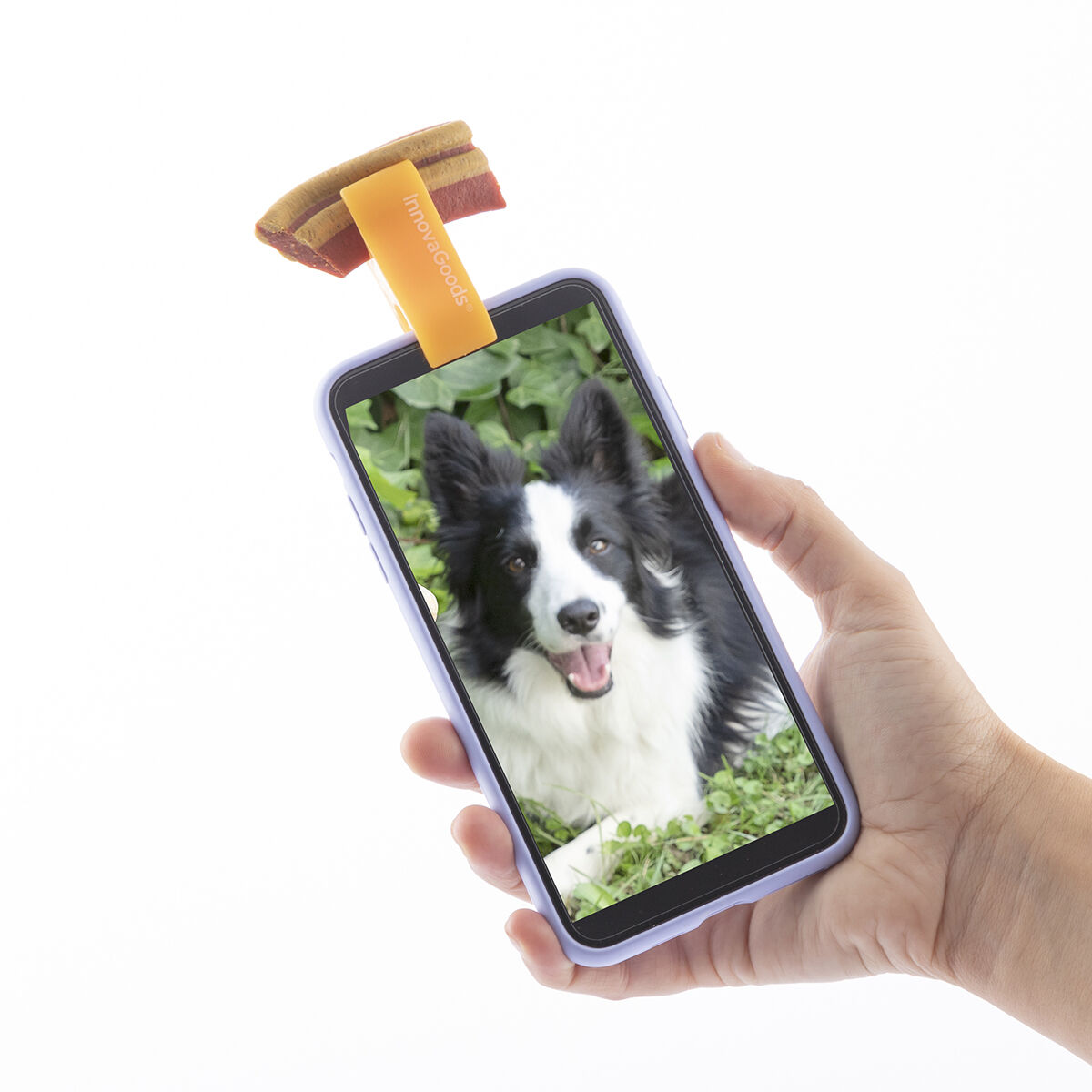 Pack Selfie Clip for Pets and Hanging Cat Hammock InnovaGoods - Image 16