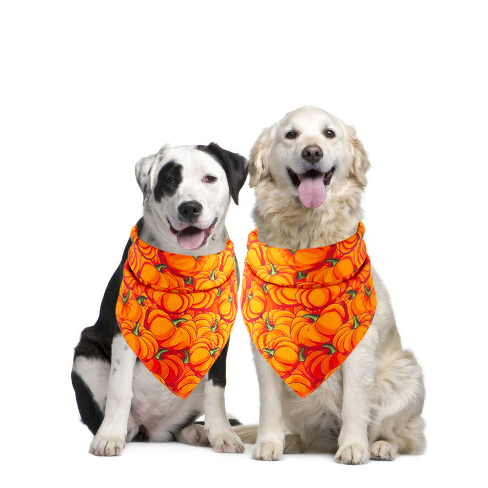 Halloween Pet Bandana, Pumpkin Polka Print - Image 4