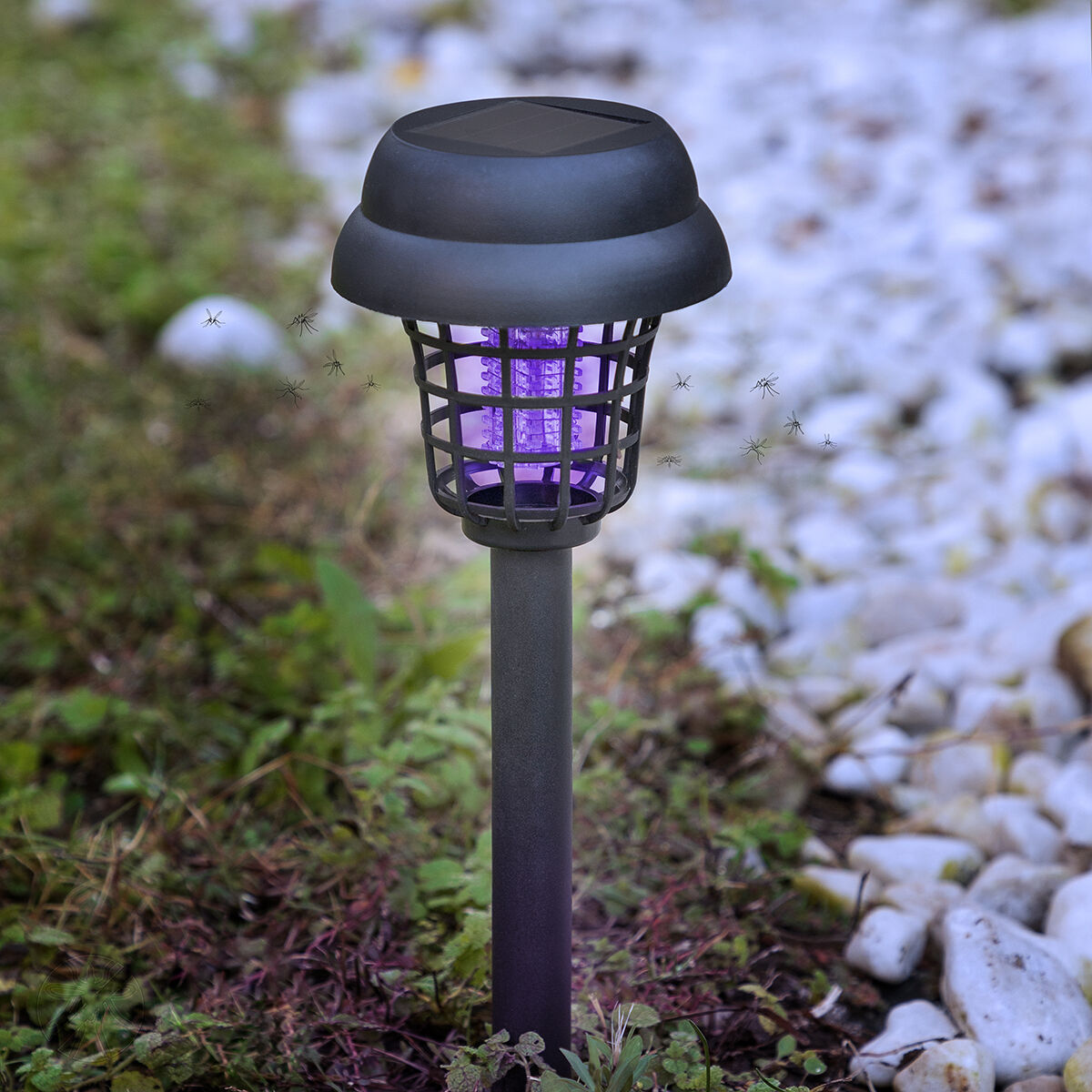 Mosquito-killing Solar Garden Lamp Garlam InnovaGoods - Image 2