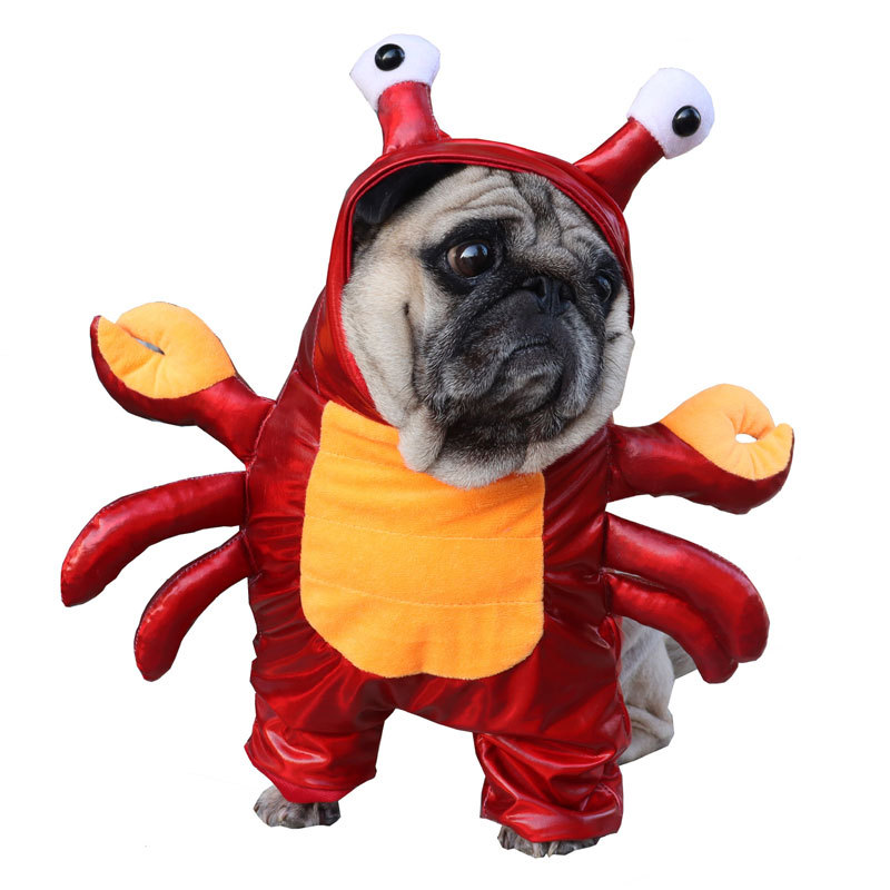 Rood krabkostuum voor honden met scharen