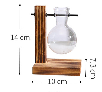 Support en bois avec petit vase en verre pour boutures