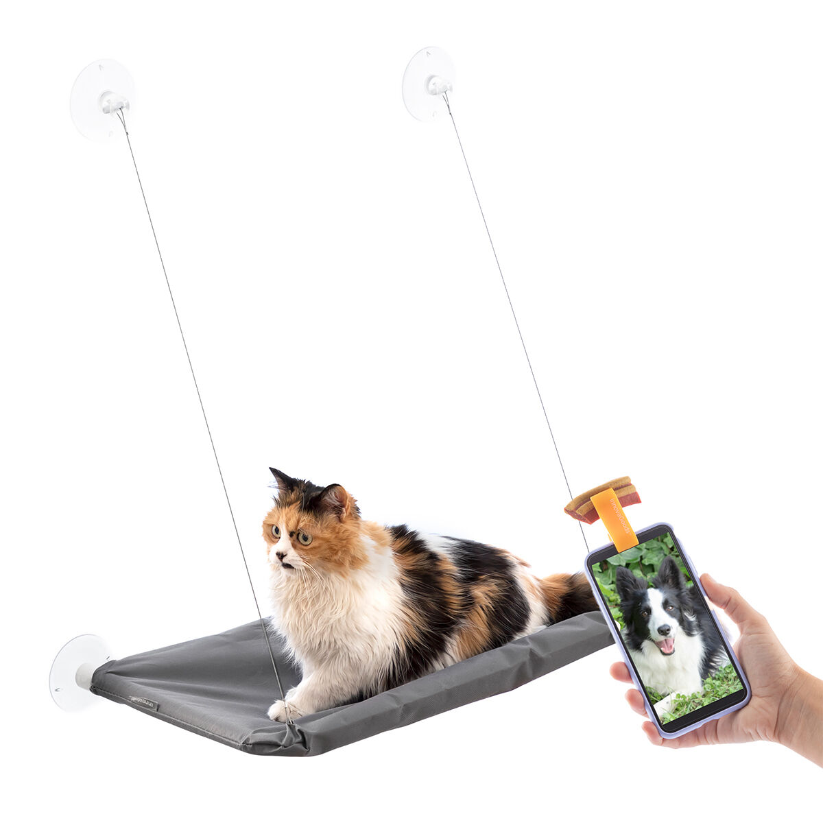 Pack Selfie Clip for Pets and Hanging Cat Hammock InnovaGoods